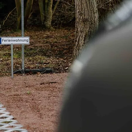 Gropius Dessau-Rosslau